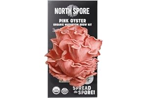 North Spore Organic Pink Oyster Mushroom Spray & Grow Kit (4 lbs) | USDA-Certified Organic, Non-GMO, Beginner-Friendly & Easy to Use | Handmade in Maine, USA