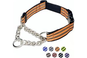 PUROAYET Martingale Dog Collars, Reflective Nylon Collar with Stainless Steel Chain, Adjustable Walking Training Dog Collars with Quick Release Buckle, Suitable for Small Medium Large Dogs(Orange,S)
