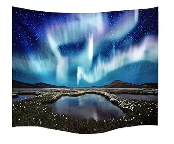 Get See wohnaccessoires For Android Free