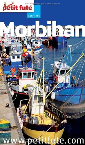 Download Petit Futé Morbihan PDF