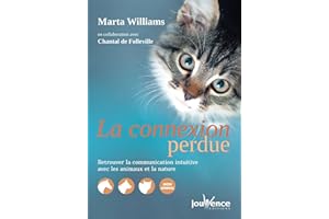 La connexion perdue (French Edition)