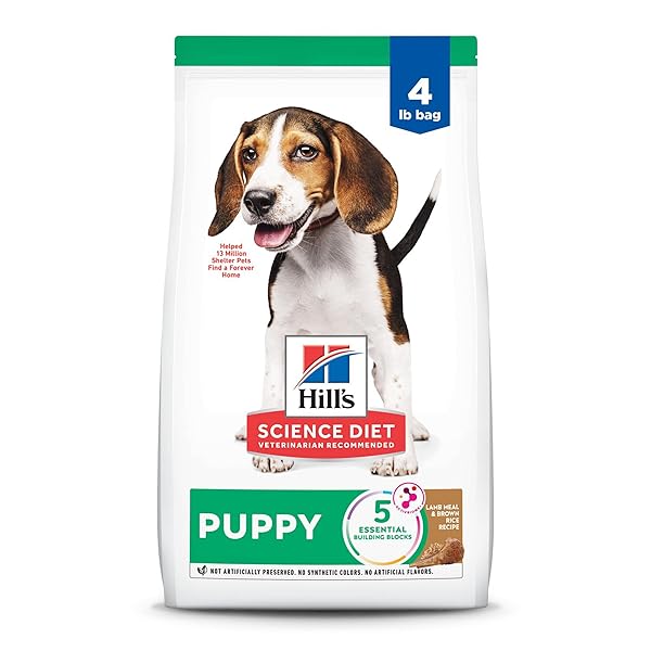HILL’S SCIENCE DIET PUPPY, PUPPY PREMIUM NUTRITION, DRY...