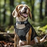 Joytale Reflective Dog Collar X-Large Gray Nylon Neoprene Padded view 2