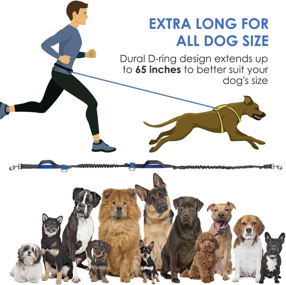 dog walking accessories uk