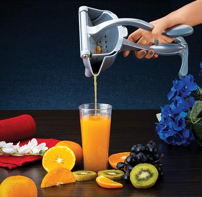 Buy DFLY Manual Fruit Juicer Instant Hand juicer Orange juicer Steel