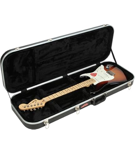 Amazon.com: SKB Cases 1SKB-66 Electric Guitar Hard Case