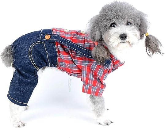 small dog overalls