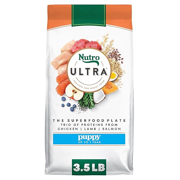 NUTRO ULTRA HIGH PROTEIN DRY PUPPY FOOD, CHICKEN,...