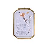 NCYP Small 5 x 7 inch Floating Glass Frame with