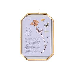 NCYP Small 5 x 7 inch Floating Glass Frame with