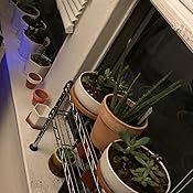 Amazon.com: SONGMICS Spice Rack, 2-Tier Sturdy Cabinet Shelf Organizer ...