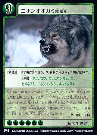 Amazon ニホンオオカミ 亜種名 陸の生き物 J2 21 地球環境カードゲーム マイアース シングルカード トレカ 通販 Amazon ニホンオオカミ 亜種名 陸の生き物 J2 21 地球環境カードゲーム マイアース シングルカード トレカ 通販
