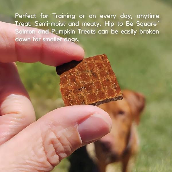 LUCY PET HIP TO BE SQUARE SALMON AND PUMPKIN DOG TREATS 6OZ