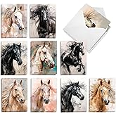 The Best Card Company 20 Assorted Blank Notes Boxed Set 4 x 5.12 Inch with Envelopes (10 Designs, 2 Each) Dreamer Horses AM10693OCB-B2x10-NB