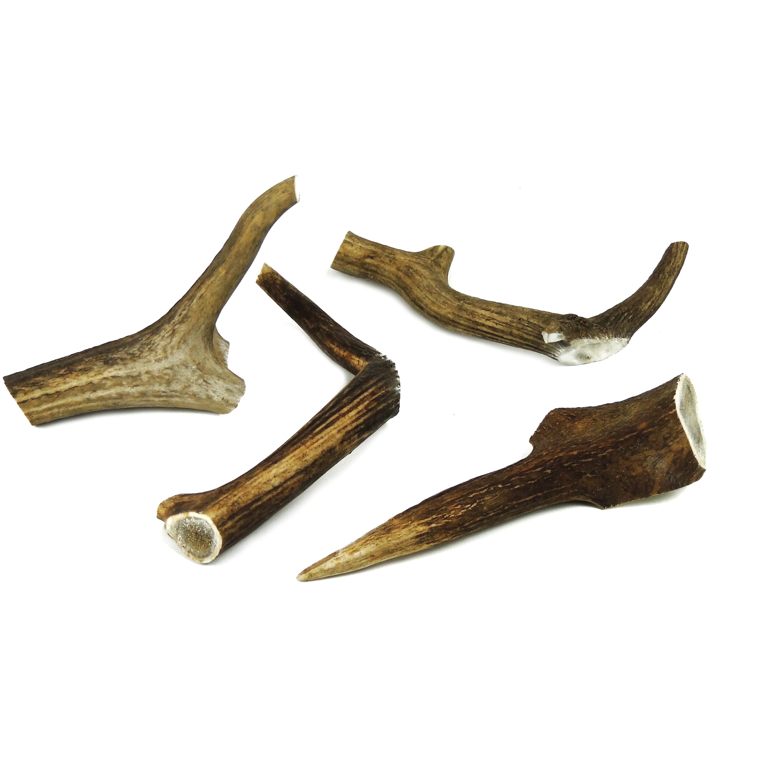 Natural Deer Antler Dog Chew - XXL, 7 Inches (19cm), 200-250g - Long-Lasting, All-Natural Dental Chew for Extra Large Dogs - Promotes Healthy Teeth and Gums