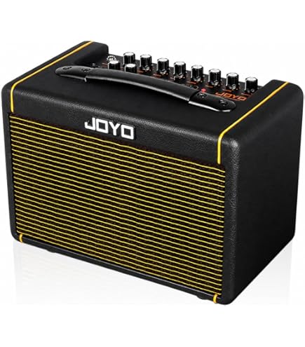Amazon.com: Roland Mobile Cube Battery-Powered Stereo Amplifier