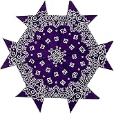 HankieWorld 6 Pack 12 Pack Bandanas 2 Sides Printed 22inch Unisex Cowboy Kerchiefs