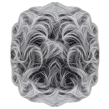 Amazon Com Women Natural Looking Short Full Curly Hair Wigs Grey