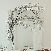 190cm/74.8inch Artificial Creepy Flexible Tree Branches Faux Grape Vines Garland Twigs with Moss Wood Craft for Halloween Door Wall Hanging Cottage Haunted Mansion Theme Outdoor Mantel Decoration (1)