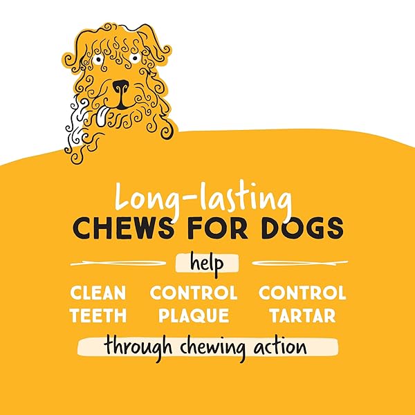 ULTRA CHEWY MINI DOUBLE TREAT BONES: LONG-LASTING DOG TREATS MADE IN USA, HIGHLY DIGESTIBLE, IDEAL FOR AGGRESSIVE CHEWERS 9OZ (CHICKEN, 2 PACKS)
