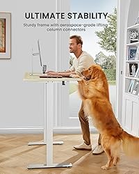 ErGear Height Adjustable Electric Standing Desk, 48