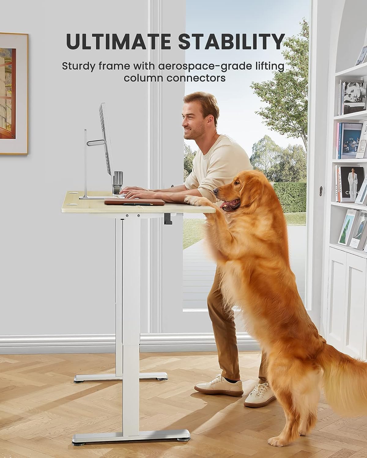ErGear Height Adjustable Electric Standing Desk, 48 x 24 Inches Sit Stand up Desk, Memory Computer Home Office Desk with Two-Piece Desktop (Natural)