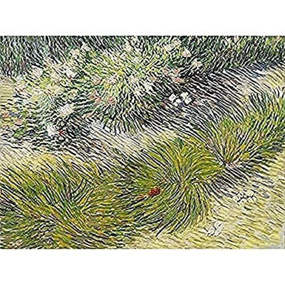 Vincent Van Gogh Grass And Butterflies Art Print Canvas Premium Wall Decor Poster Mural