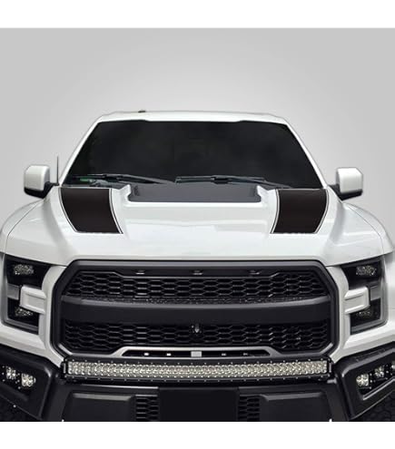 Vinyl Decal Nightmare Wrap Kit For Ford F-150 Raptor SVT 2010-2014 Matte Black E - Foto 12