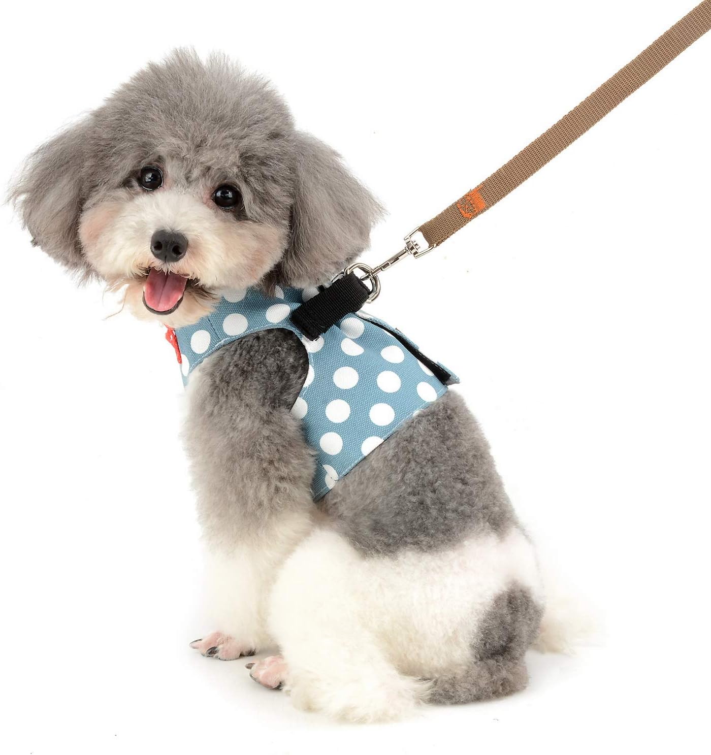 toy dog harness vest