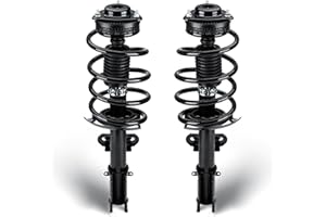 TADAAUTO Front Complete Struts Assembly w/Coil Spring Shock Absorber Compatible with 2008-2019 Dodge Grand Caravan, 2008-2016 Chrysler Town & Country, Replace for 171128L 171128R, 2Pcs