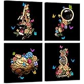 iHAPPYWALL 4 Pieces Science Picture Prints Microbiology Chemistry Wall Art Brain Skull Exploration Art Poster Black White Artwork for School Laboratory Classroom Decor