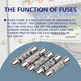 Innfeeltech 25Pcs BS1362 Ceramic Tube Fuse 6.3x25mm 1A 3A 5A 10A 13A 240V view 5