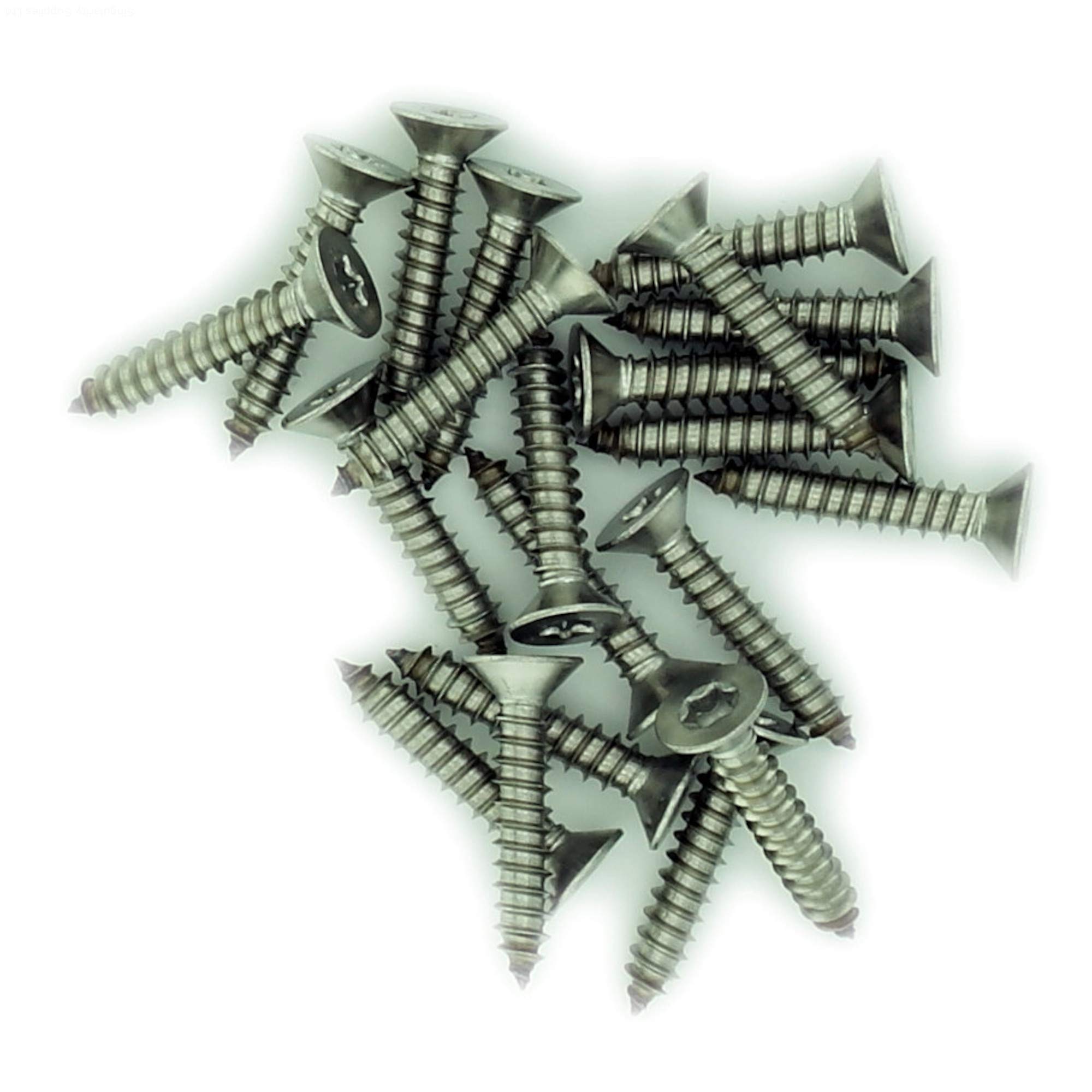 No.4 x 0.25 (2.9mm x 6.5mm) TX Countersunk Self-Tapping Screw - Stainless Steel (A2) (Pack of 20)