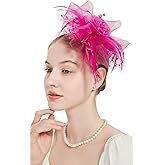 QDC Fascinators for Women Tea Party Headband Hats Cocktail Flower Mesh Feathers Headwear Hair Clip for Wedding