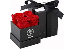 BEVERLY ROSE Forever Roses That Last A Year, Mothers Day Gift,Mothers Day Flowers For Delivery Prime Red Preserved Roses For Delivery Prime, Eternity Roses In A Box, Real Flowers In A box Black Box 4PCS