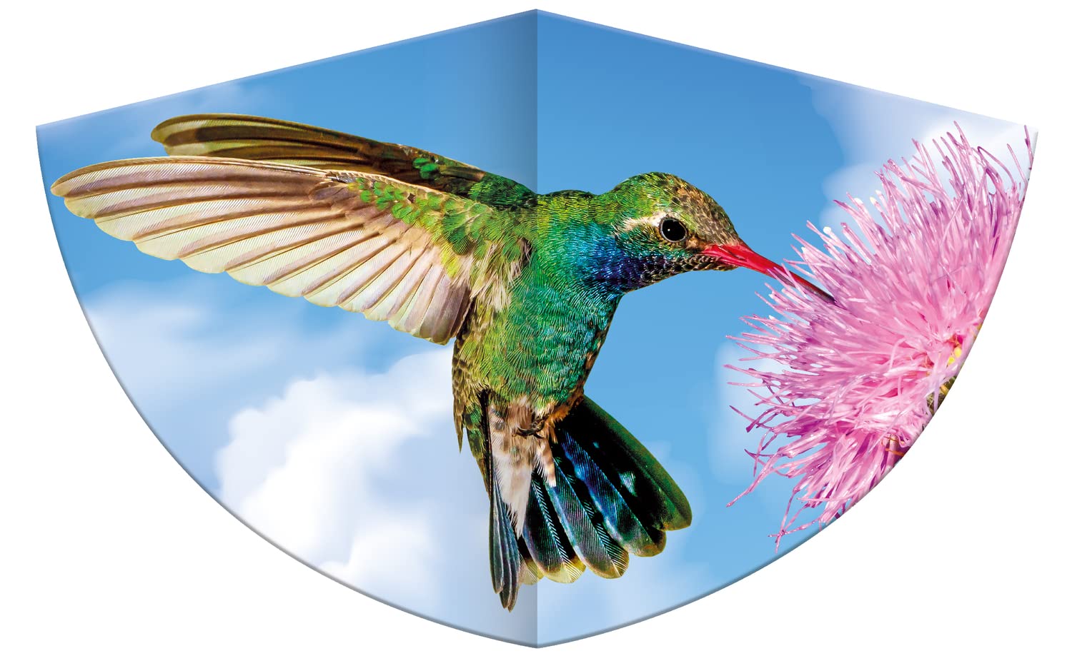 Children's kite with a hummingbird motif, single line kite made of robust PE film with adjustable kite scale, for children aged 4 and up, with wrap handle and cord, approx. 75 x 48 cm in size