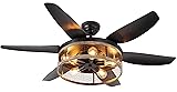 Ohniyou Farmhouse Ceiling Fan with Lights and