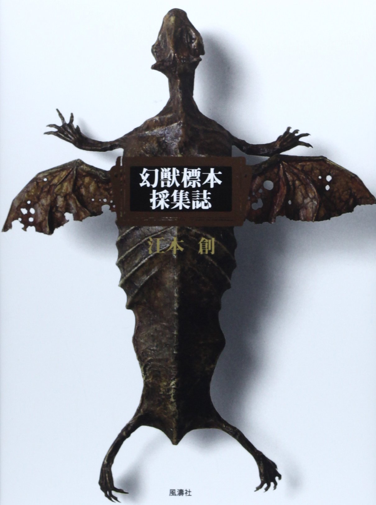 幻獣標本採集誌 新装版 幻獣コレクション Hajime Emoto Amazon Com Books