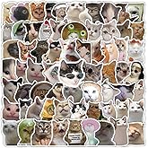 106 Pcs Funny Cat Stickers Cute Cat Meme Sticker Kitten Stickes for Adults Funny Animal Vinyl Waterproof Stickrs for Water Bottles Laptops Phone Luggage Guitar
