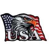 Waving American Flag USA Bald Eagle Hook Patch