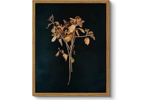 ARPEOTCY Vintage Framed Botanical Wall Art, Bedroom Bathroom Dark Floral Pictures Art Decor, Canvas Print Retro Paintings, Home Rustic Farmhouse Neutral Moody Decor, 8x10 Inch