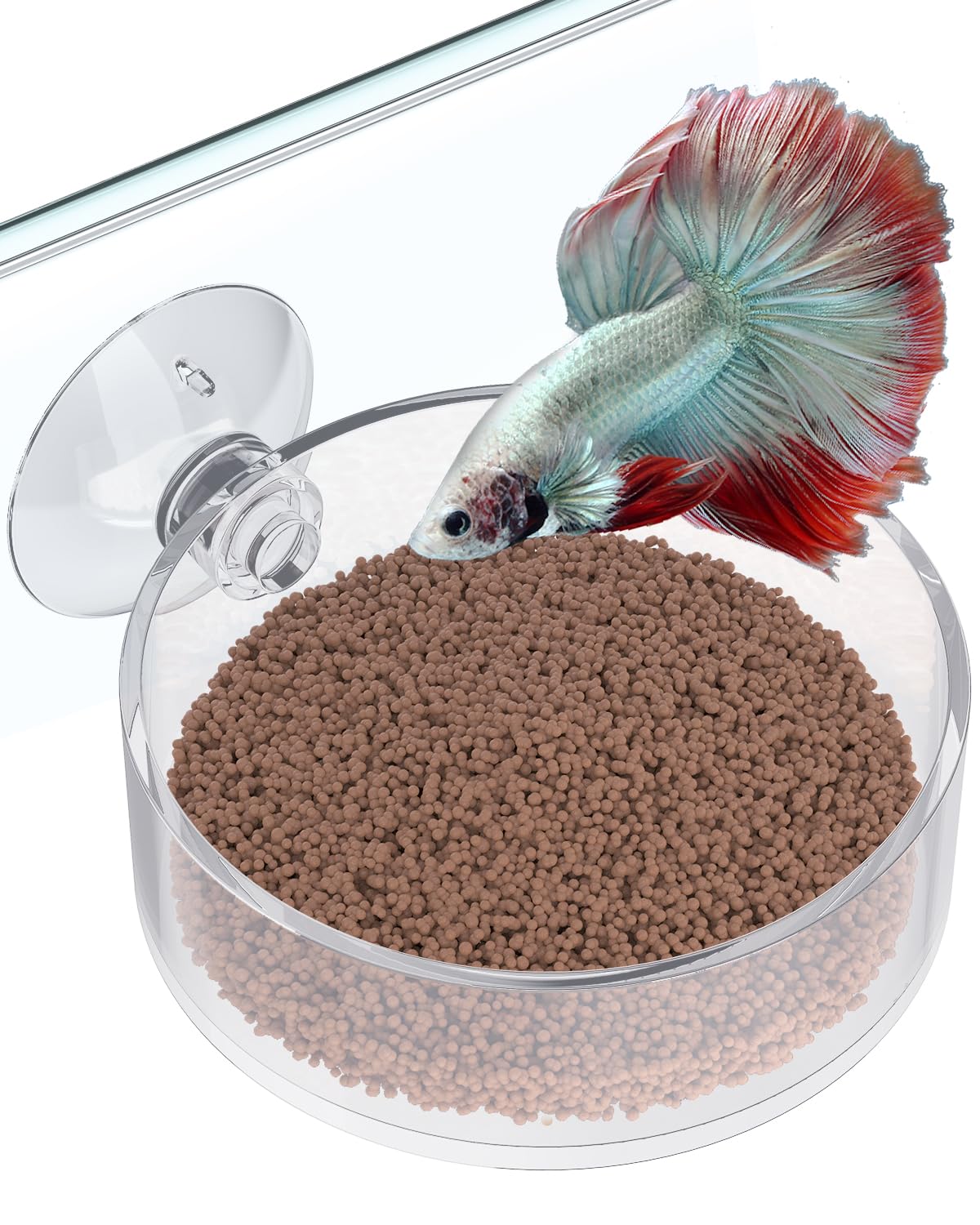 Photo 1 of Pawfly Shrimp Feeding Dish with Suction Cup, Clear Acrylic Aquarium Shrimp Feeder Dish, Fish Feeding Tray for Freshwater and Saltwater Tanks