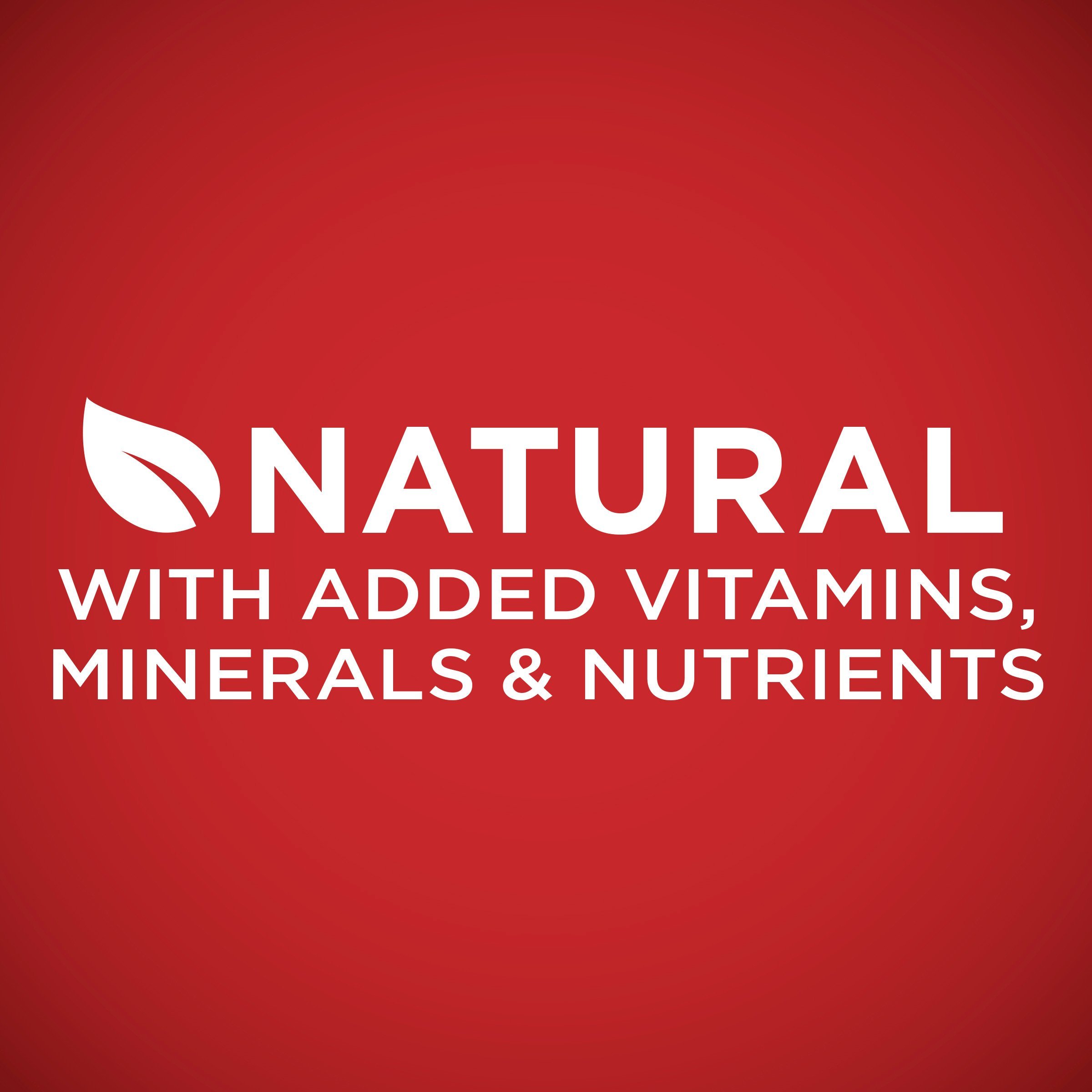 Purina ONE SmartBlend Natural Formula Adult Dry Dog Food - Image 6