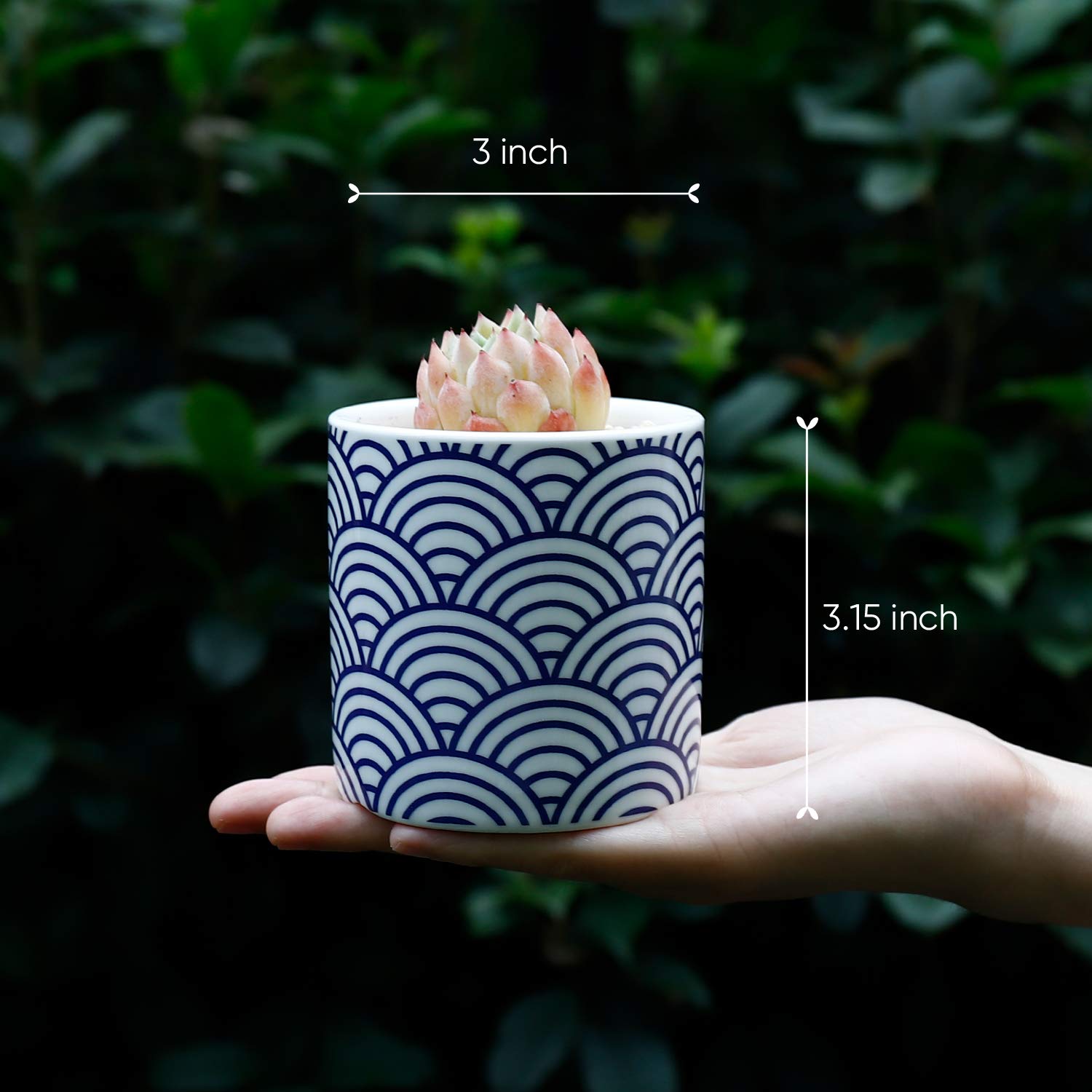 Greenaholics Succulent Pots - 3 Inch Pattern Japanese Style Cylinder Ceramic Planters for Small Succulent, with Bamboo Saucers, Set of 3 - Image 3