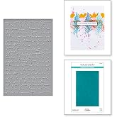 Spellbinders SES-065 Scribbled Letter Embossing Folder from The Collaged Birds Collection by Dina Wakley