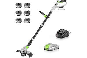 ALDIPRO Weed Wacker Cordless 20V 12'' Electric Weed Eater with Auto Line Feed, 2.0Ah Battery and Fast Charger, 6 x Replacement Line, Battery Powered String Trimmer for Lawn Care, GrassTrimmer (AD-ST-001.1)