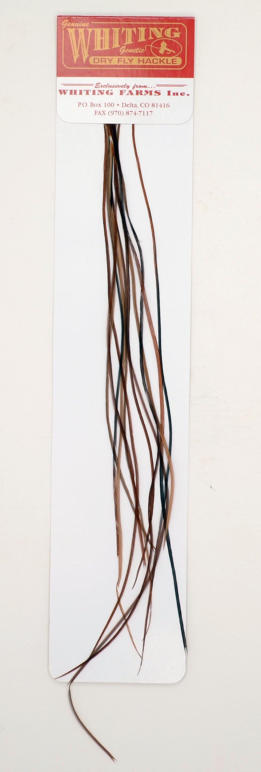 100's Saddle Hackle Pack