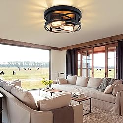 Jasopaco 2-Light Flush Mount Ceiling Light Fixtures