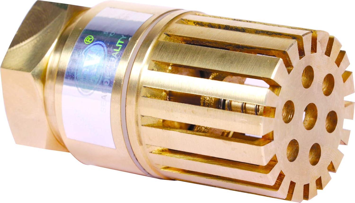 RV Brass Foot Valve 1021 Premium Pack Brass Foot Valve Screwed Ends