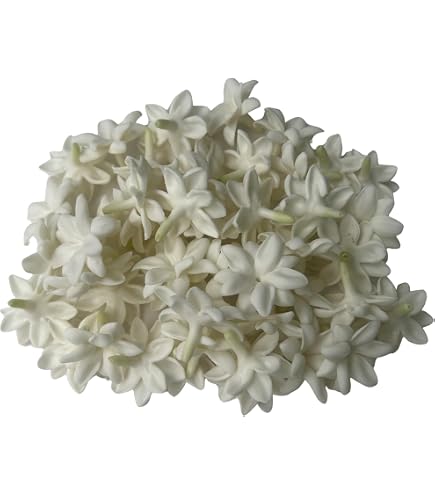 Amazon.com: 50 PCS White Clay Arabian Jasmine Crown Flowers  display picture 1